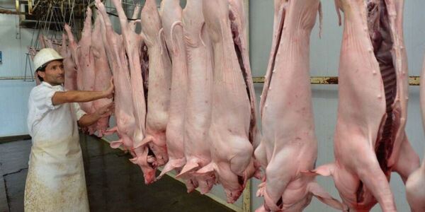 Instalarán frigorífico porcino en Canindeyú