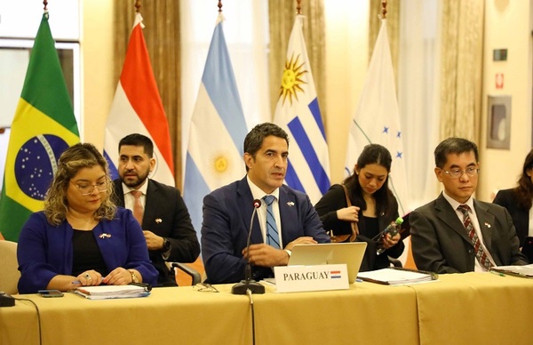 Paraguay coordina reuniones con Mercosur y Singapur - El Trueno