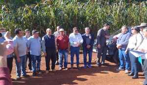 Realizan mensura judicial en el municipio de Dr. Raúl Peña - Noticiero Paraguay