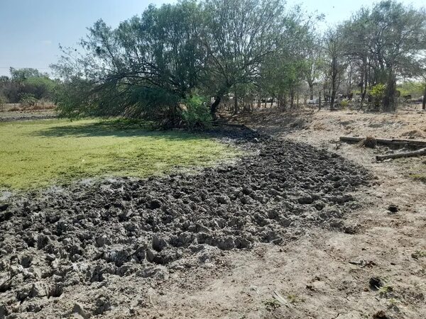 Declaran emergencia distrital por sequía en Fuerte Olimpo - Noticias del Chaco - ABC Color