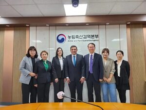 Esperan  auditoría de Corea del Sur para apertura a la carne paraguaya - Nacionales - ABC Color