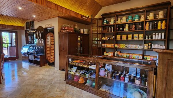 ¿Te animás a probar helado, waffle y pan de yerba mate en el Mate Bar de Bella Vista?