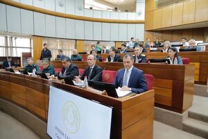 Cámara de Senadores trata hoy otra ley de despojo de tierras públicas - Política - ABC Color