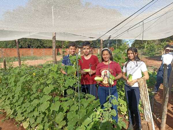 Escuela rural de Belén implementa exitosa huerta escolar orgánica
