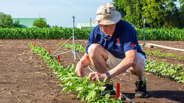 Cultivos foto eficientes y con menor uso de agua es objetivo de investigadores agrícolas