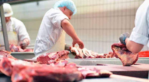 Avanzan trabajos para exportar carne bovina al mercado de Corea del Sur