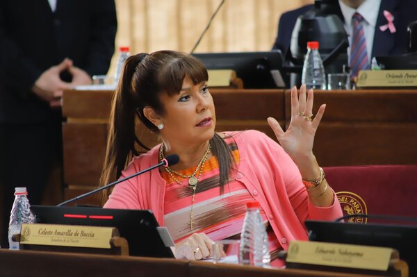 Diario HOY | La brillante solución que propone Celeste Amarilla al problema penitenciario