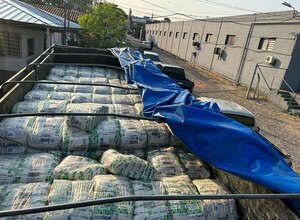 Cae 18.000 kilos de azúcar de contrabando, de origen brasileño - La Tribuna
