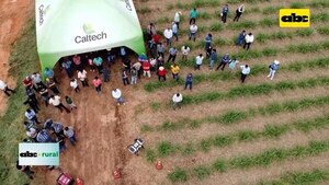 Video: rompiendo algunos mitos sobre el uso de biológicos en agricultura  - ABC Rural - ABC Color