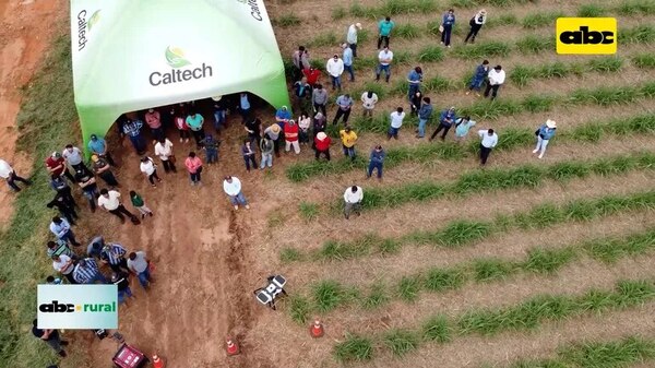 Video: rompiendo algunos mitos sobre el uso de biológicos en agricultura - ABC Rural - ABC Color