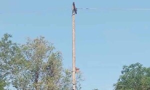 Accidente laboral dejó como saldo un fallecido en Concepción – Prensa 5