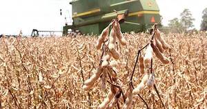 La Nación / Agricultura sigue impulsando ingreso de divisas en el país, según BCP