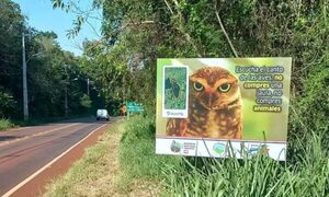 Colocan cartelerías en el acceso de la Reserva Natural Yguazú