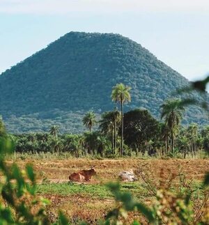 Rechazan proyecto de declaración de área silvestre protegida para el cerro San José de Ybycuí - Nacionales - ABC Color