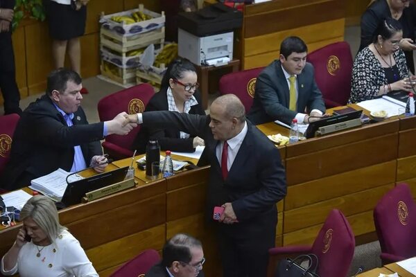 Bachi Núñez sufre derrota en el Senado al rechazarse un proyecto de despojo de tierras en Mcal. Estigarribia - Política - ABC Color