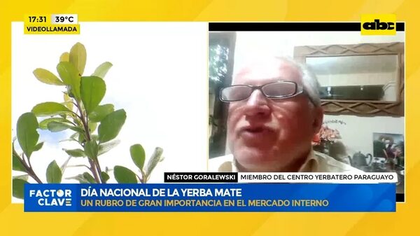 Video: Día Nacional de la Yerba Mate - ABC Rural - ABC Color