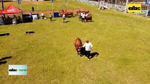 Video: preparan la Expo Guairá 2023  - ABC Rural - ABC Color