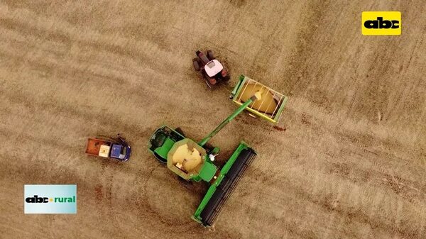 Video: Gremios de américa latina hablan de barrera comercial disfrazada por la UE - ABC Rural - ABC Color