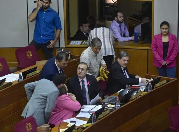 Cámara de Senadores pide al fiscal general priorizar pesquisa sobre el fiscal Marcelo Pecci - Política - ABC Color
