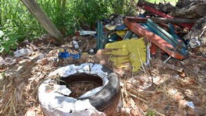 San Antonio: Criaderos en espacios públicos