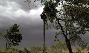 Meteorología: regresa el clima fresco en un jueves con alerta de tormentas - Clima - ABC Color