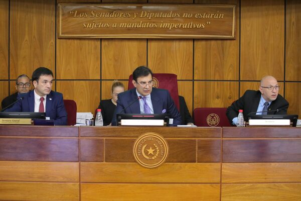 Senado: aprueban proyecto que establece medidas extraordinarias para las finanzas públicas - El Independiente