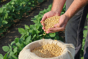 Agro sigue impulsando ingreso de divisas al país