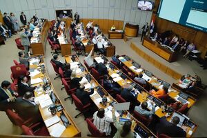 Deuda con proveedores: Senado aprobó ley de medidas extraordinarias para emitir bonos por USD 600 millones - MarketData