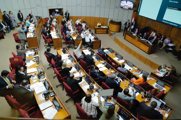 Deuda con proveedores: Senado aprobó ley de medidas extraordinarias para emitir bonos por USD 600 millones - MarketData