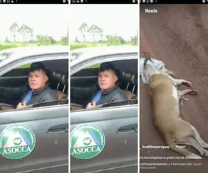 Indignante: Hombre ató a su perro por su auto y lo arrastró por dos kilómetros