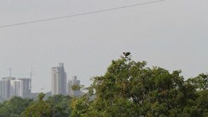 Clima fresco a cálido y sin lluvias en todo el país este viernes