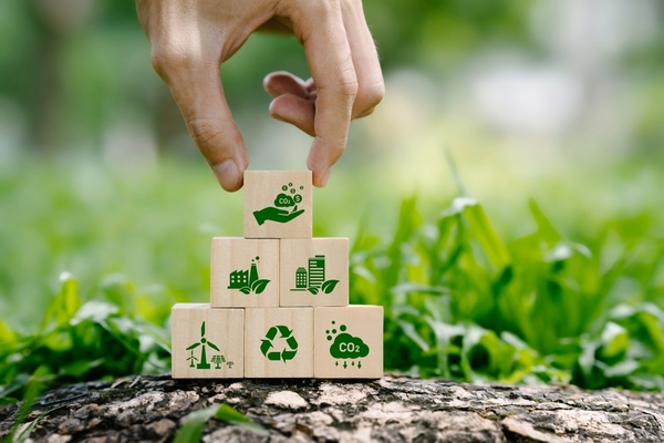 La banca con valores gana terreno en Paraguay, con el desafío de hacer rentable la sustentabilidad - MarketData
