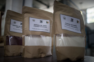 La harina como alimento inclusivo, un proyecto científico de Venezuela - MarketData