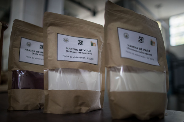 La harina como alimento inclusivo, un proyecto científico de Venezuela - MarketData