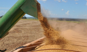 Exportaciones de soja se recuperaron en el tercer trimestre