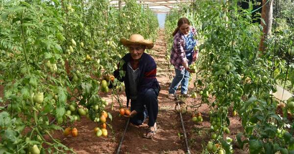 La Nación / Cartera morosa del CAH está por debajo del 5 %, afirman
