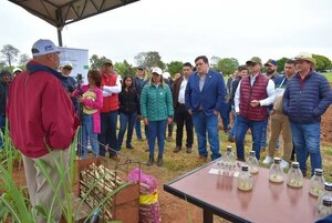 Uso de la tecnología para mejorar la calidad de la caña dulce - Nacionales - ABC Color