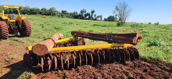 Descubren tala ilegal en Minga Guazú: Fiscalía interviene