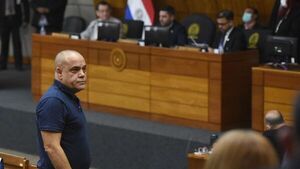 Despojo de tierras al Estado: Bachi Núñez pierde puja ante presión social