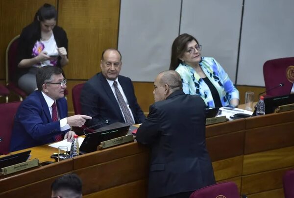 Senadores tratarán el martes modificaciones a ley de conflicto de intereses - Política - ABC Color