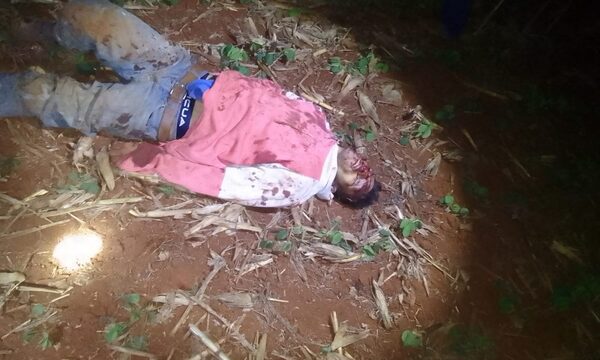 Asaltó una despensa, víctima lo baleó y terminó muerto en un sojal – Diario TNPRESS