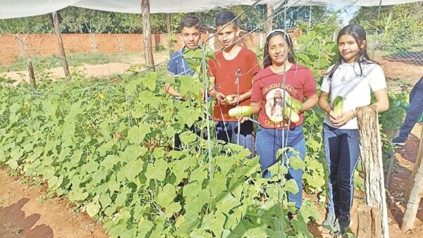 CHICOS IMPLEMENTAN UNA EXITOSA HUERTA ESCOLAR ORGÁNICA