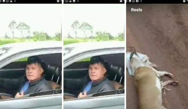 Allanan la casa de hombre que arrastró a su perro: rescatan a dos animales