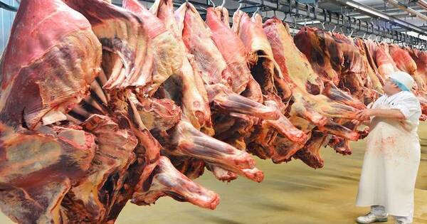 La Nación / Auguran normalización del nivel de faena en frigoríficos a fin de mes