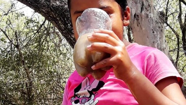 En el Alto Chaco subsisten tomando agua de tajamar desde hace décadas