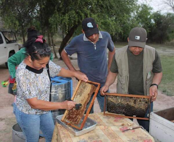 Apicultores del distrito de Fuerte Olimpo fueron capacitados