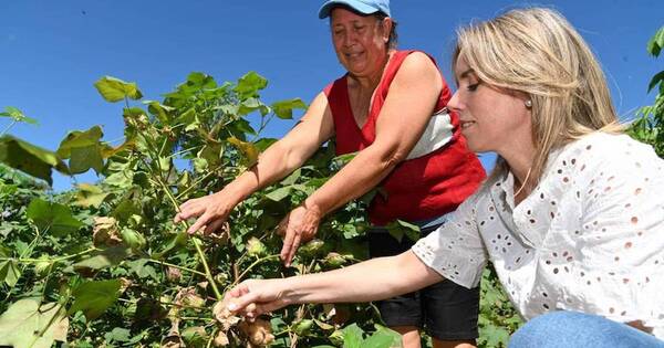 La Nación / Resaltan labor esencial de las mujeres rurales