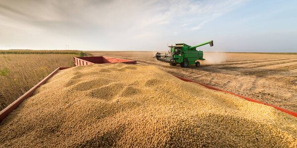 USDA mantiene previsión de la producción sojera de Paraguay en 10 millones de toneladas