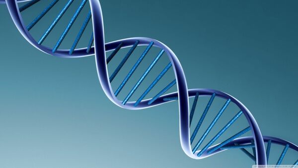 La herencia genética de una población humana primitiva extinta influye en la salud mental