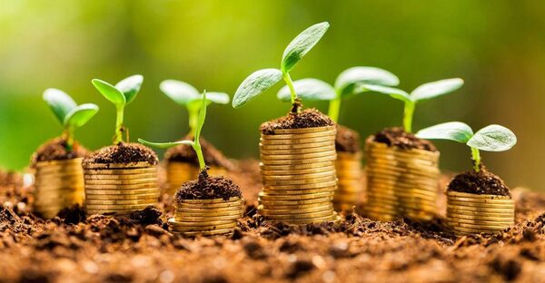 Paraguay avanza en programa de emisión de bonos verdes y sostenibles